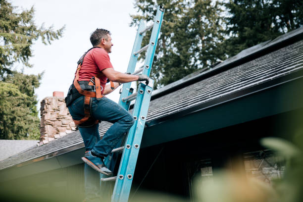  Rancho San Diego, CA Roofing Service Pros